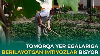 TOMORQA YER EGALARIGA BERILAYOTGAN IMTIYOZLAR BISYOR