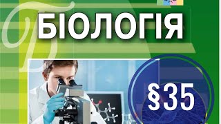 §35. Будова нервової системи людини. Центральна і периферична нервова система