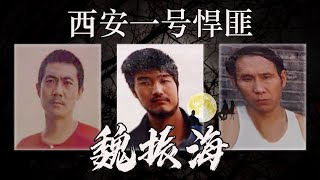 魏振海[1]，綽號小黑，名震西安30年，少年砍老頭7刀，監獄裏被大哥看中，許昌當街砍死地頭蛇，峨眉山殺死同夥，步入黑道@@绰号小黑，少年砍老头7刀，监狱里被大哥看中，许昌当街砍死地头蛇，峨眉山杀死同伙