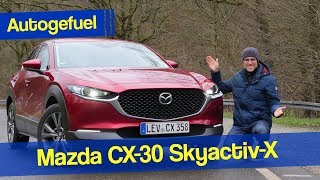 New SUV Mazda CX30 REVIEW with Skyactiv X engine - Autogefuel