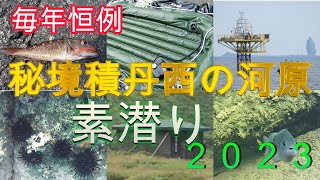 【積丹半島】毎年恒例・西の河原で素潜り2023