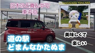 ソロ車中泊☆道の駅どまんなかたぬま☆