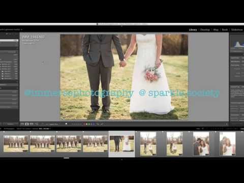 Apply Your Logo as a Watermark in Lightroom Apply Your Logo as a Watermark in Lightroom