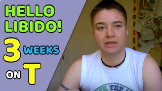 3 Weeks On testosterone | Hello Libido! (FTM)