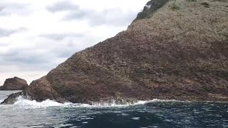 まるで恐竜の背中の様な岩肌の磯でカゴ釣り