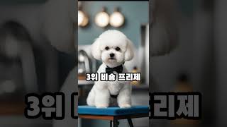 세계에서 가장 귀여운 강아지 순위 TOP 5