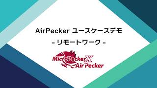 AirPecker ユースケースデモ -リモートワーク/遠隔地からCAN/CAN FD通信を制御-