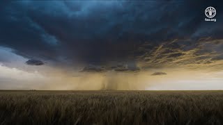 The Impact of Disasters on Agriculture and Food Security 2025