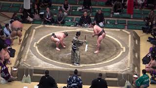 湘南乃海-大成道/2018.1.19(42)/shonannoumi-daiseido/day6 #sumo