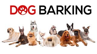 Dogs Barking  Sounds To Make Your Dog REACT | 34+ Breeds Including Yours