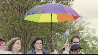 LGBTQ+ advocates rally at South Carolina State House for Trans Day of Visibility