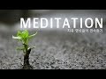 Relaxing Music for Stress Relief. Soothing Music for Meditation, Healing Therapy, Deep Sleeping