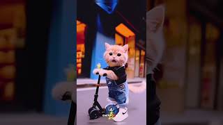 #cutecat #cutekitty @Art-A-heart #cat#love #viralvideo#shortvideo #trending #ytshorts #viralshorts