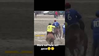 Баяман чынында каттуу чабат экен😱ким кошулат? #kyrgyzstan #horse #rek