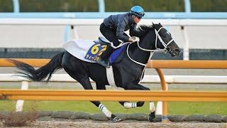 【有馬記念】過去のデータから『消せる馬』、ディープボンドにプログノーシス、ハヤヤッコも…条件クリアし連対の可能性は7頭