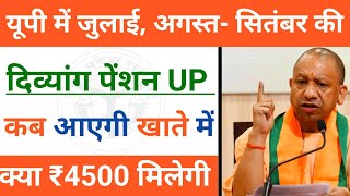 UP News : क्या इस बार ₹4500 मिलेगी दिव्यांग पेंशन | जुलाई, अगस्त- सितंबर  2024 | Divyang Pension |