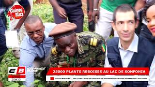 1 Guinéen, 1 Arbre : Campagne de reboisement de l'ONG CIPAD Guinée