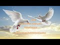 New Bossa Nova - Line Dance ( Demo & Walk Through )