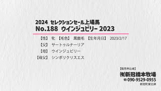 【セレクションセール2024】No.188 ウインジュビリー2023