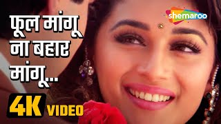 Phool Mangu Na Bahar Mangu (4K Video) | फूल मांगु न बहार मांगु | Raja Movie (1995) | Romantic Song