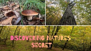 DISCOVERING NATURES SECRET