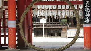 下鴨神社。楼門に設置された茅の輪-2020年8月5日(Shimogamo-jinja Shrine)