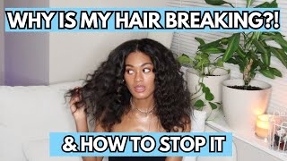 Hair Breakage \u0026 How to Fix Damaged Hair | Heat Damage with Natural Hair