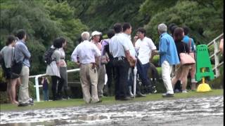 H26 関東学生馬術三大大会　総合馬術競技大会　耐久審査　２年　宮野将太郎　桜将 mp4