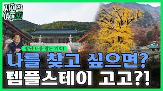 젊은이에게 의외로 핫한 이곳! 나를 찾는 템플스테이 [지하철여행이지 11회]