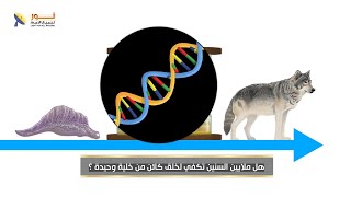 557 هل ملايين السنين تكفي لخلق كائن من خلية وحيدة ؟