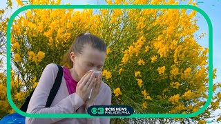 Scientists in UK find more accurate way to measure what causes allergy symptoms