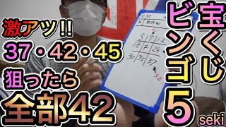 【奇跡！全部足して42！】1等当選来た⁉︎宝くじビンゴ５攻略法！足して４２・３７・４５狙ったら全部４２！！１００口当選企画＃２３