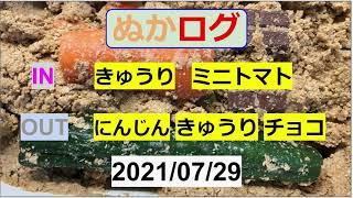 【ぬか漬け記録 21/07/29 】　きゅうり  チョコレート  にんじん  (引き上げ動画あり)