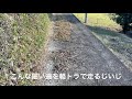 三重県南牟婁郡御浜町のみかんをオススメするショート動画w