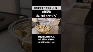 意外と絶品！春ごぼうの美味しい食べ方｜レンジで10分レシピ｜作り置きOK