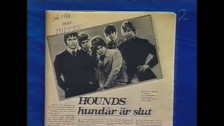 Go'Kväll - The Hounds-reportage (SVT 2002)