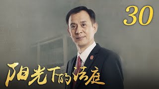 《阳光下的法庭》 第30集 宁致远同意与鹿鸣见面（主演：颜丙燕、何冰、王志飞）| CCTV电视剧