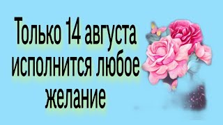 Только 14 августа исполнится любое желание. | Тайна Жрицы |