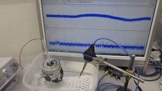 樹脂容器を利用した、メガヘルツの超音波システム（超音波システム研究所）