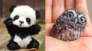 Rare Baby Animals You Will See For The First Time