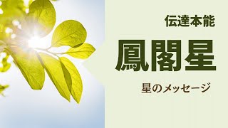 【算命学｜十大主星】鳳閣星（ほうかくせい）のあなたへ