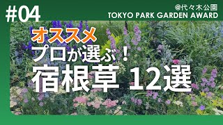 【プロが選ぶ宿根草】園芸のプロが愛用するオススメ宿根草12選36種を大公開！植えっぱなしで丈夫！プロに学ぶ！東京パークガーデンアワード@代々木公園 Natural Perennial Garden