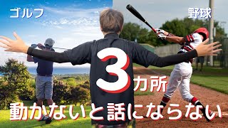 野球ゴルフ３つの回旋動作【股関節 胸椎 肩甲骨】