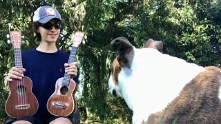 KALA UKULELE SHOWDOWN | KA-S v.s KA-SLNG