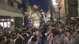 令和元年　足立区＜千住本町連合会・宵宮祭＞　五町会神輿＝連合渡御