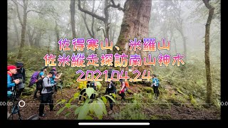 老翁退休遊記：佐得寒山、米羅山， 佐米縱走探訪南山神木！  2021.04.24