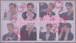 【Stray Kids】スキズが日本語で愛嬌しまくる回【日本語字幕】