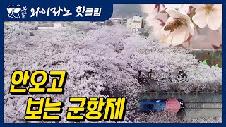 [#와이라노]  안오고 보는 군항제