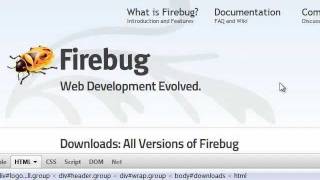 web development using firebug