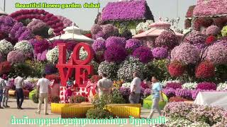 #0106 travel 168 Beautiful flower gaden (dubai) ដំណើរកម្សាន្ត សួនផ្កា ដ៏ស្រស់ស្អាតនៅទីក្រុងឌុយប៊ៃ